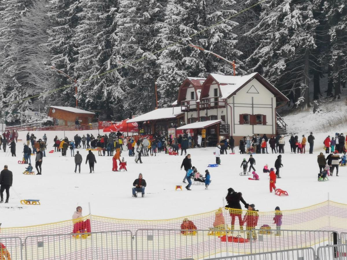Cabana Fantanita Cu Brazi Poiana Brasov Exterior photo