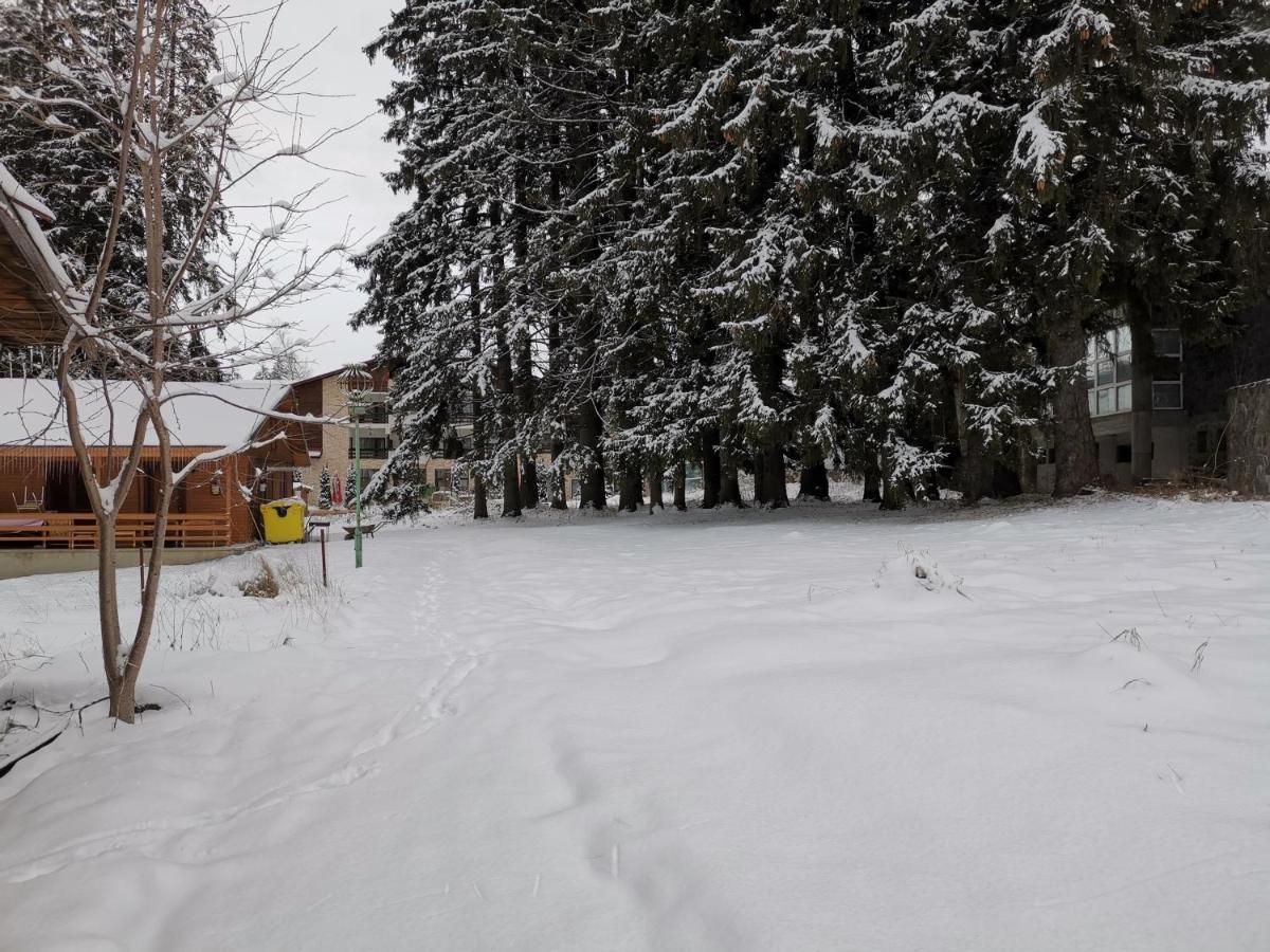 Cabana Fantanita Cu Brazi Poiana Brasov Exterior photo